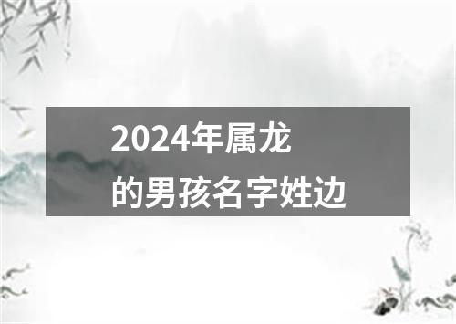 2024年属龙的男孩名字姓边