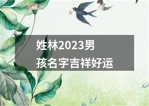 姓林2023男孩名字吉祥好运