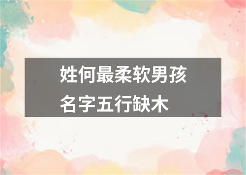 姓何最柔软男孩名字五行缺木