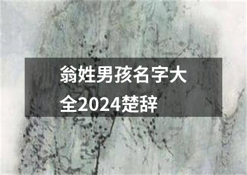 翁姓男孩名字大全2024楚辞