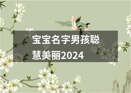 宝宝名字男孩聪慧美丽2024