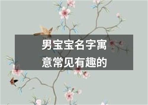 男宝宝名字寓意常见有趣的