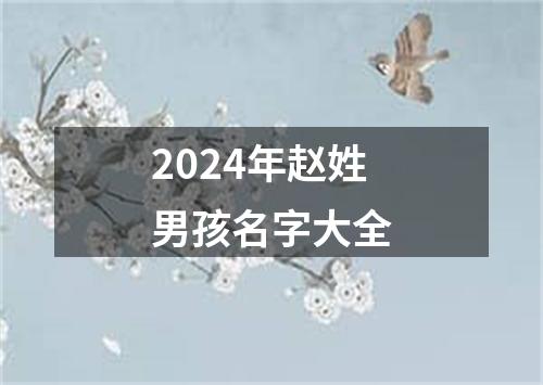 2024年赵姓男孩名字大全