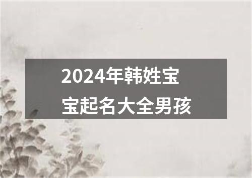 2024年韩姓宝宝起名大全男孩