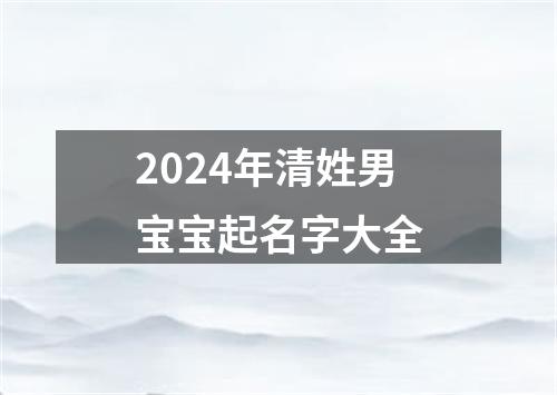 2024年清姓男宝宝起名字大全