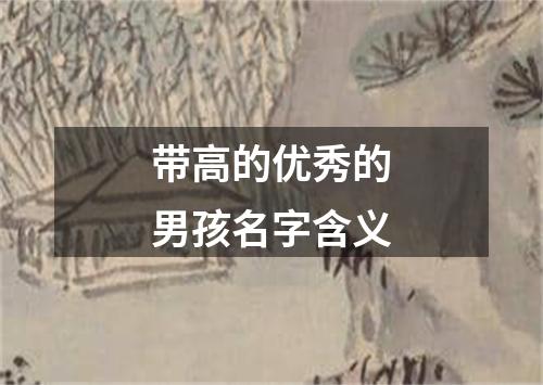 带高的优秀的男孩名字含义