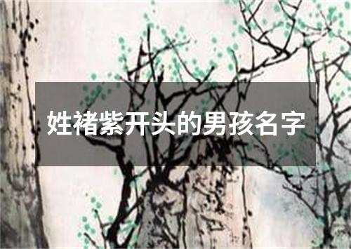 姓褚紫开头的男孩名字