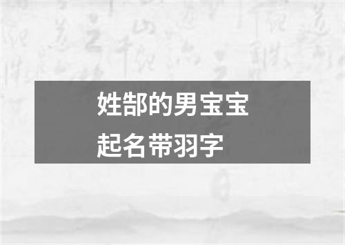 姓郜的男宝宝起名带羽字