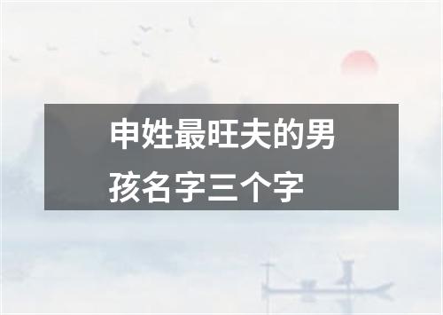 申姓最旺夫的男孩名字三个字