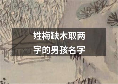 姓梅缺木取两字的男孩名字