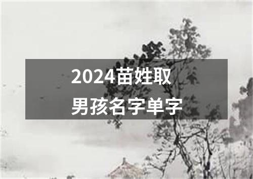 2024苗姓取男孩名字单字