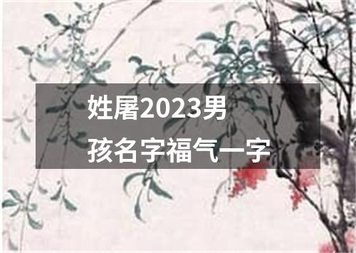 姓屠2023男孩名字福气一字