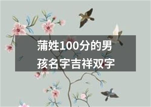 蒲姓100分的男孩名字吉祥双字