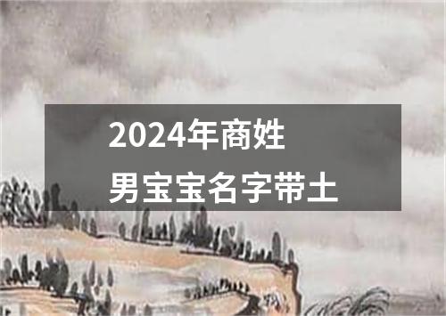 2024年商姓男宝宝名字带土