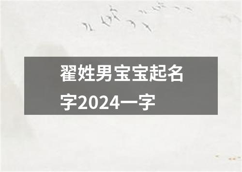 翟姓男宝宝起名字2024一字