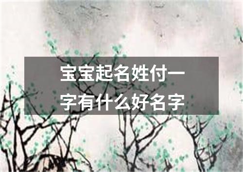 宝宝起名姓付一字有什么好名字