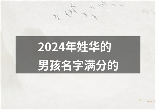 2024年姓华的男孩名字满分的