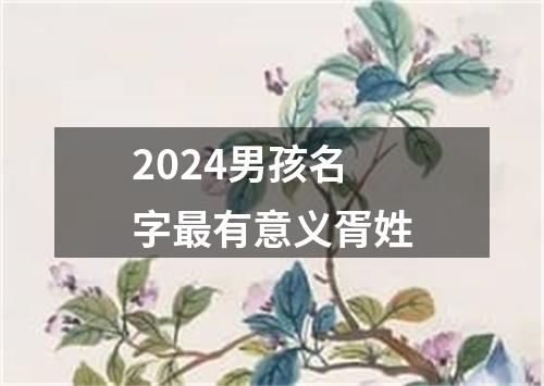 2024男孩名字最有意义胥姓