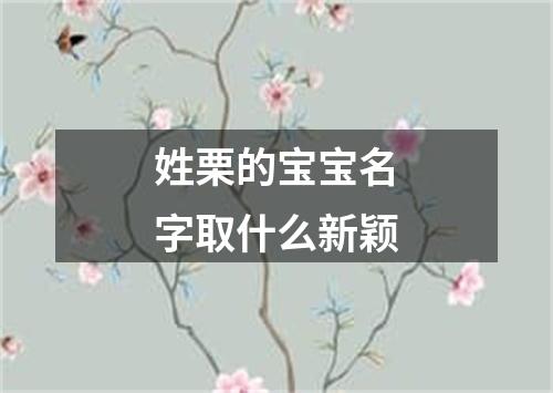 姓栗的宝宝名字取什么新颖