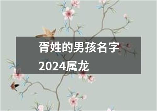 胥姓的男孩名字2024属龙