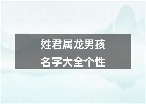 姓君属龙男孩名字大全个性