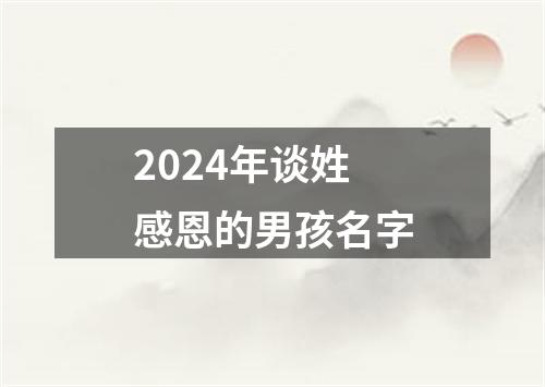 2024年谈姓感恩的男孩名字