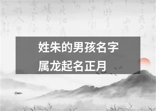 姓朱的男孩名字属龙起名正月