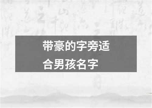 带豪的字旁适合男孩名字