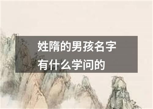 姓隋的男孩名字有什么学问的