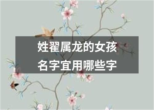 姓翟属龙的女孩名字宜用哪些字