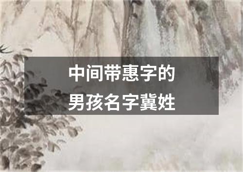 中间带惠字的男孩名字冀姓