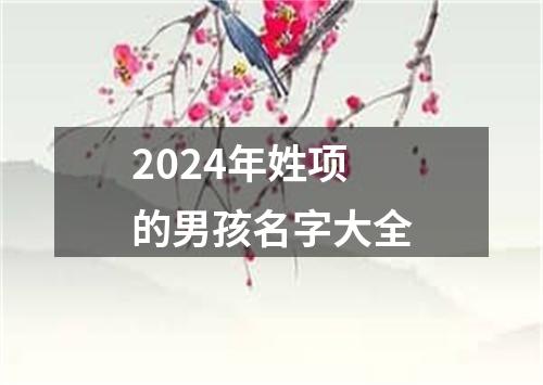 2024年姓项的男孩名字大全