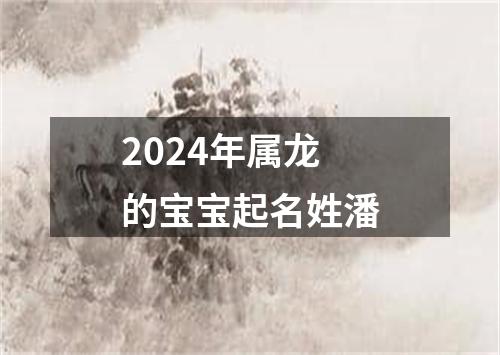 2024年属龙的宝宝起名姓潘