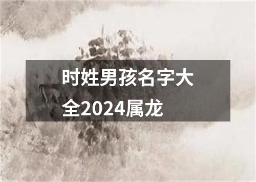 时姓男孩名字大全2024属龙