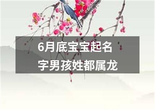 6月底宝宝起名字男孩姓都属龙