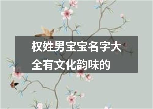 权姓男宝宝名字大全有文化韵味的