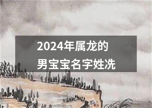 2024年属龙的男宝宝名字姓冼