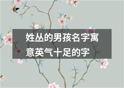 姓丛的男孩名字寓意英气十足的字