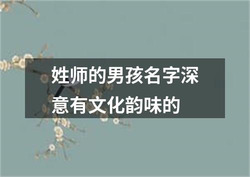 姓师的男孩名字深意有文化韵味的