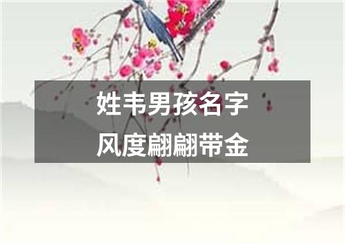 姓韦男孩名字风度翩翩带金