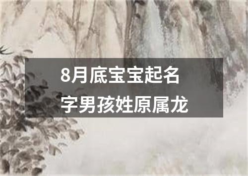 8月底宝宝起名字男孩姓原属龙