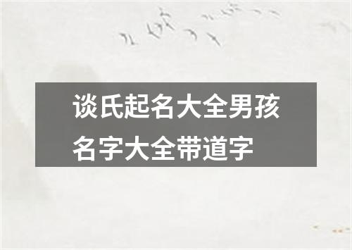 谈氏起名大全男孩名字大全带道字