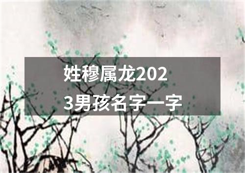 姓穆属龙2023男孩名字一字