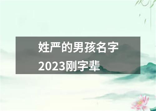 姓严的男孩名字2023刚字辈