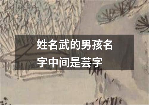 姓名武的男孩名字中间是芸字