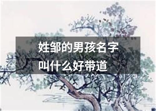 姓邹的男孩名字叫什么好带道