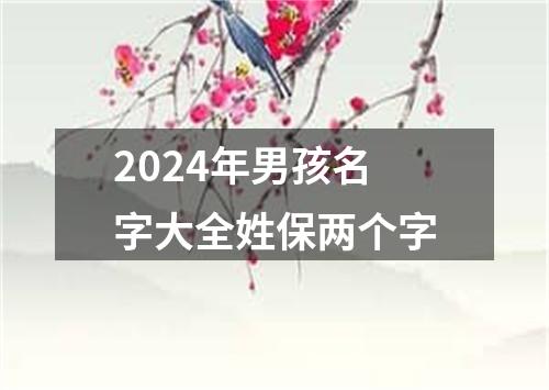 2024年男孩名字大全姓保两个字