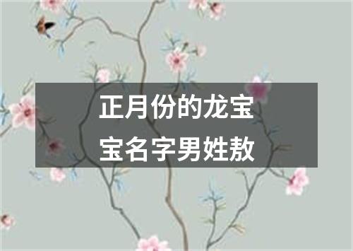 正月份的龙宝宝名字男姓敖