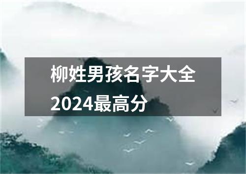 柳姓男孩名字大全2024最高分