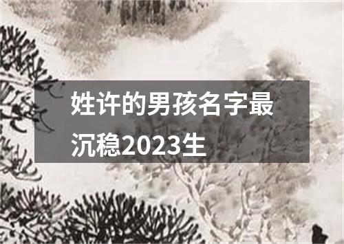 姓许的男孩名字最沉稳2023生